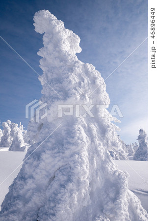 樹氷 樹氷 46896449