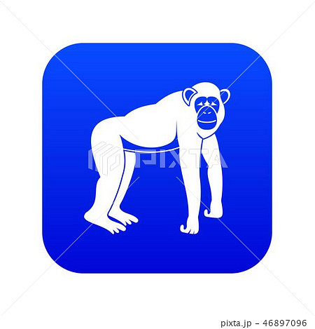 Chimpanzee icon digital blue Chimpanzee icon digital blue 46897096