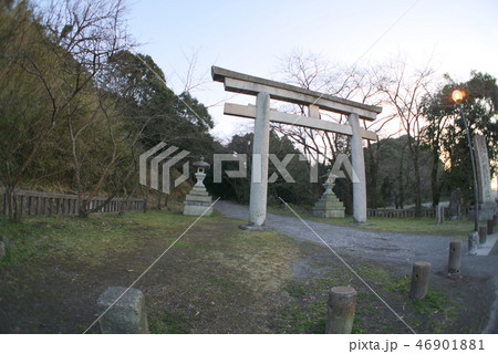 大分県護国神社 46901881
