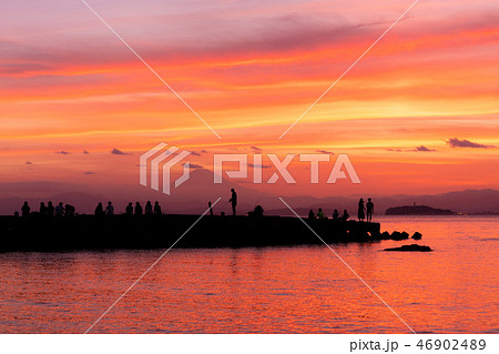 美しい夕暮れに群がる人達（神奈川県　葉山） 46902489