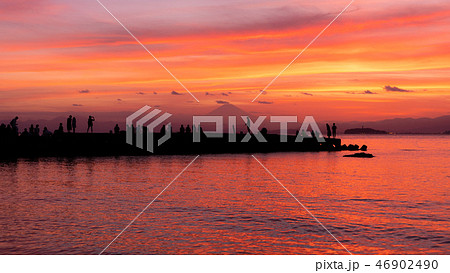 美しい夕暮れに群がる人達（神奈川県　葉山） 46902490