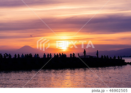 美しい夕暮れに群がる人達(神奈川県 葉山) 美しい夕暮れに群がる人達(神奈川県 葉山) 46902505