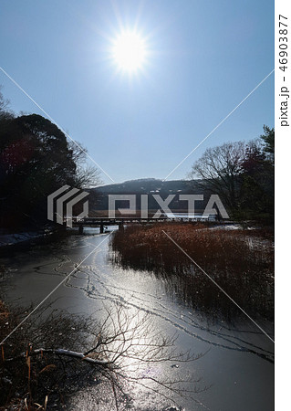 凍りついた池の景色4 46903877