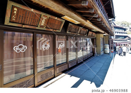 成田山新勝寺表参道の旅館 46903988