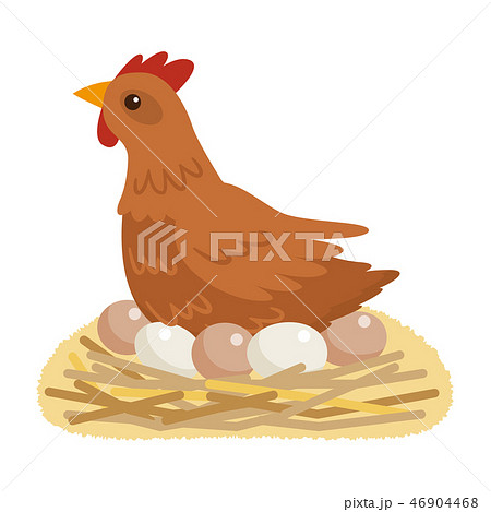 鶏　養鶏 46904468