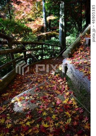 大興善寺の紅葉 46905385
