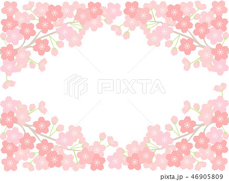 さくら28　桜 46905809