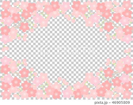 さくら28　桜 46905809