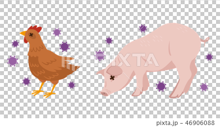 Bird pig disease flu 46906088