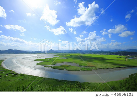 順天湾 順天湾湿地 雲 46906103