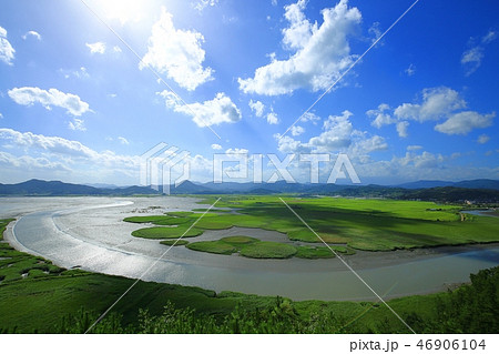 順天湾湿地 雲 干潟 46906104