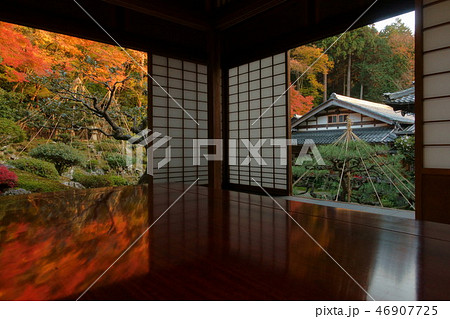滋賀県米原市にある青岸寺庭園を座敷から見た風景です 滋賀県米原市にある青岸寺庭園を座敷から見た風景です 46907725