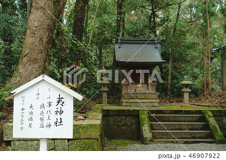 滋賀県多賀町の多賀大社の末社、夷神社です 滋賀県多賀町の多賀大社の末社、夷神社です 46907922