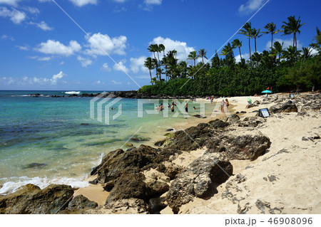 ハワイ・ラニアケア・ビーチ ハワイ・ラニアケア・ビーチ 46908096