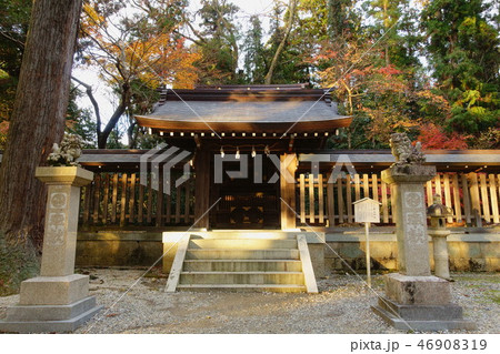 滋賀県多賀町の多賀大社の摂社、式内日向神社の神門と狛犬です 滋賀県多賀町の多賀大社の摂社、式内日向神社の神門と狛犬です 46908319