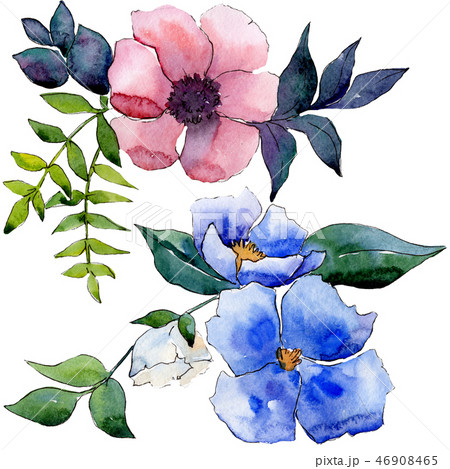 Bouquet floral botanical flowers. Watercolor background illustration set. Isolated flower Bouquet floral botanical flowers. Watercolor background illustration set. Isolated flower 46908465