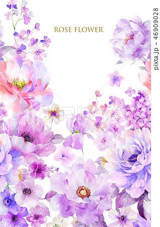 透明水彩 水彩画 花 46909028