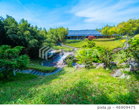 京都市洛西竹林公園 46909475