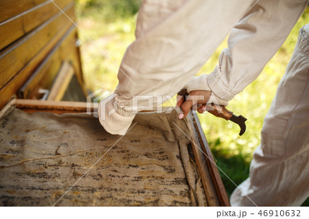 Beekeeper in suit is working at apiary. Opening Beekeeper in suit is working at apiary. Opening 46910632