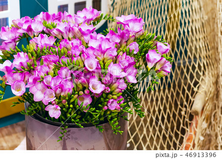 flower bouquet of pink alstroemeria background 46913396