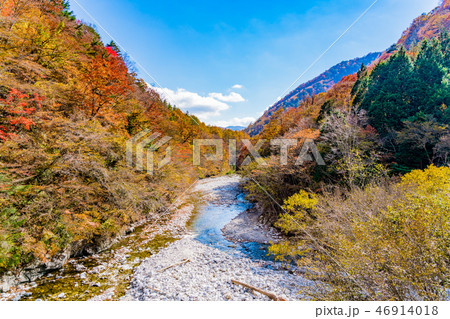 【山梨県】西沢渓谷 46914018