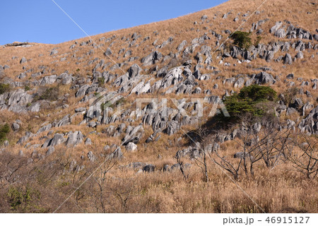 冬の平尾台 46915127