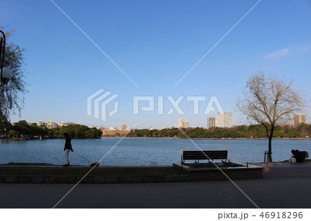 公園で散歩 46918296