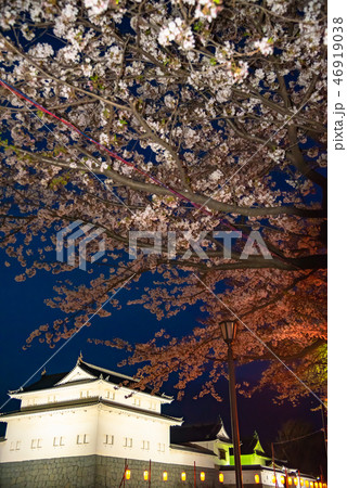 駿府城　東御門　巽櫓　徳川家康　大御所時代の居城 46919038