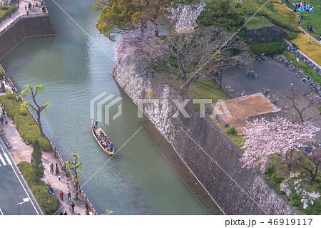 駿府城と桜 46919117