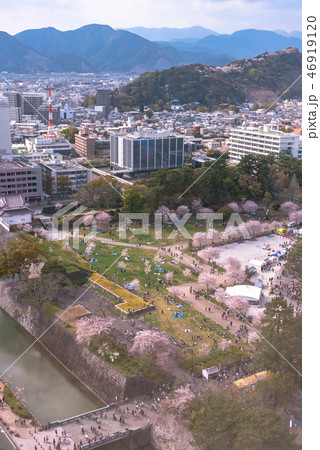 駿府城と桜 46919120