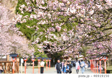 観光客で賑わう藤川天神 46919150