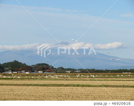 鳥海山 庄内平野 46920616
