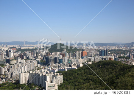 山 木 通常の 46920882