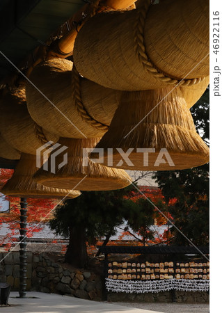 冬～秋の紅葉と出雲大社神楽殿の大注連縄（縦） 46922116