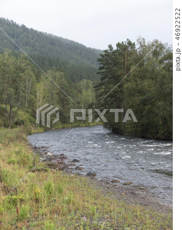 Waves, spray and foam, river Katun in Altai  46922522