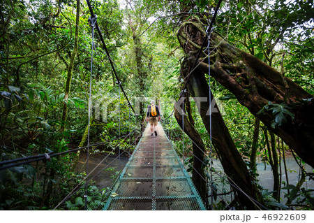 Bridge in Costa Rica Bridge in Costa Rica 46922609