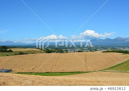 十勝岳連峰と牧草地 十勝岳連峰と牧草地 46922612