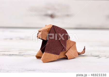 Lion origami design Lion origami design 46923330