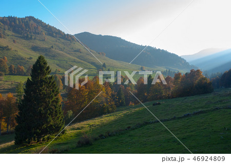 Autumn lansdscape 46924809