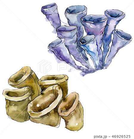 Purple and red aquatic underwater nature coral reef. Watercolor background set. Isolated coral 46926525