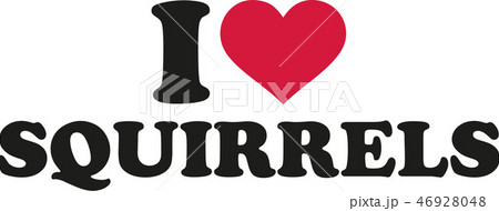 I love squirrels 46928048