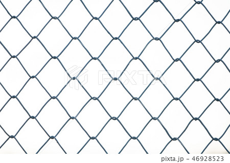 金網 46928523