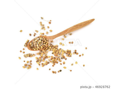 Top view of coriander seeds in wood spoon Top view of coriander seeds in wood spoon 46928762