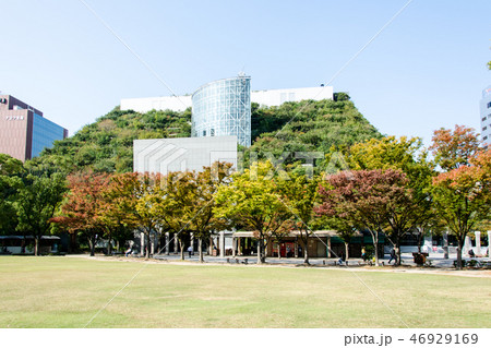 天神中央公園 天神中央公園 46929169