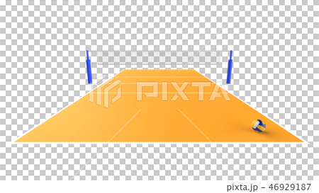Volleyball court front 46929187