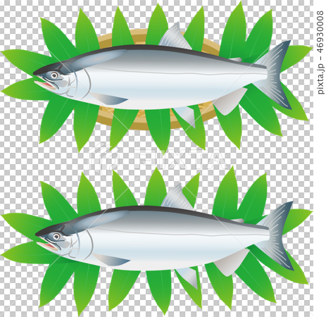 シロザケ シロザケ 46930008