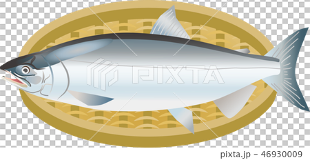 密友 密友 46930009