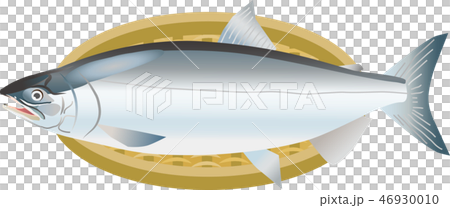 シロザケ シロザケ 46930010