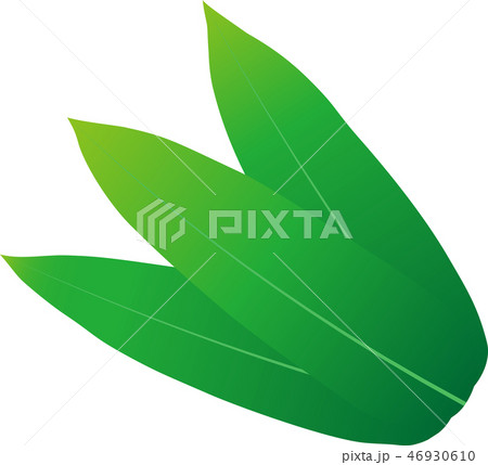 笹の葉 46930610