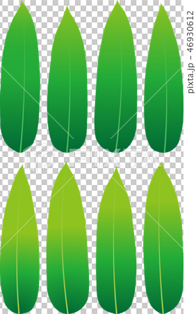 竹葉 46930612